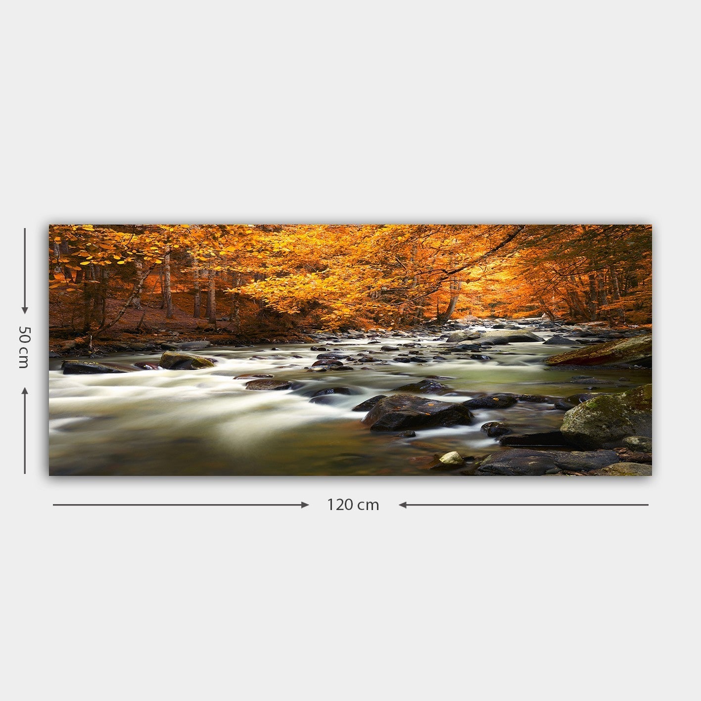 Tablou YTY110245898_50120, multicolor, panza/lemn, 120x3x50 cm