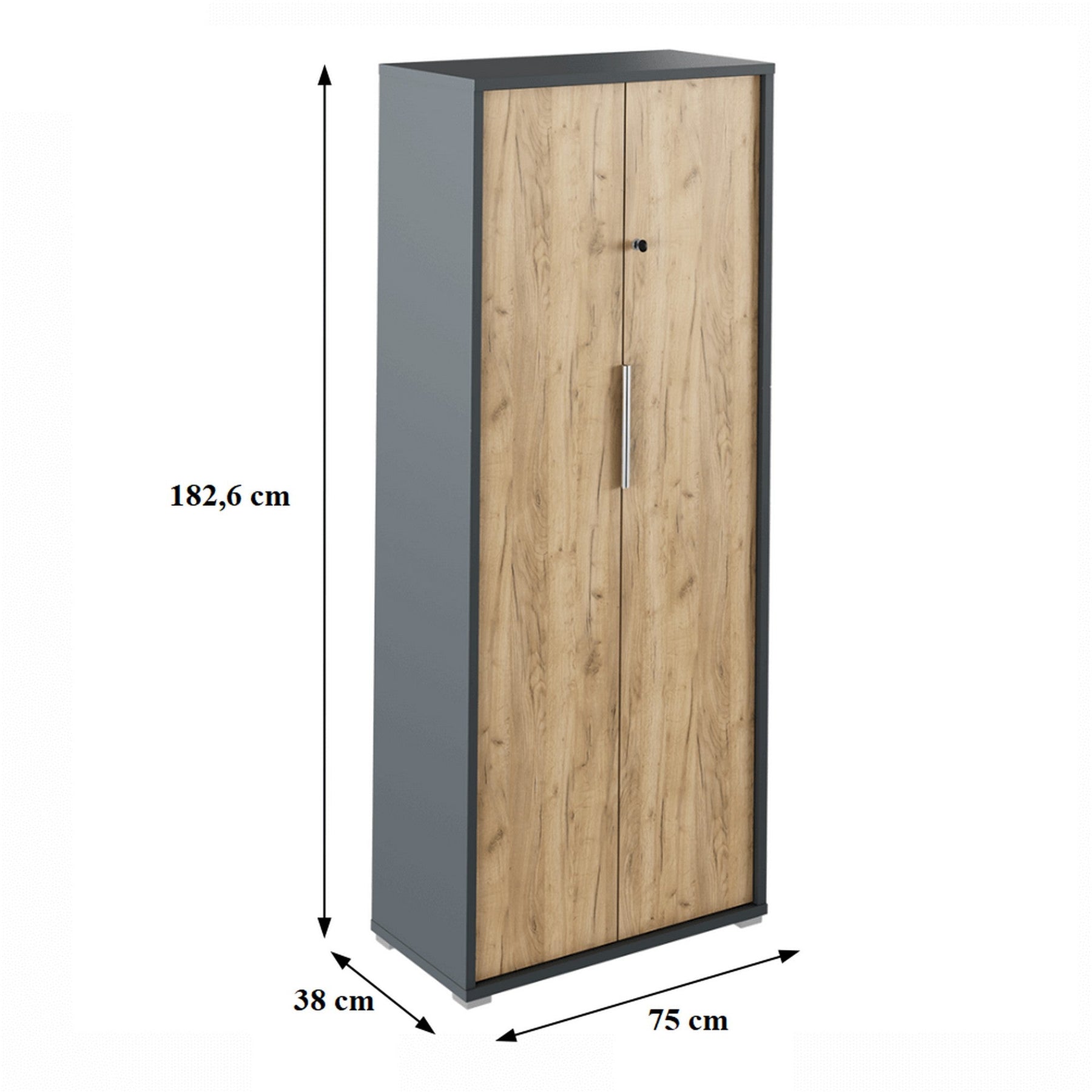 Dulap RIOMA NEW TYP 31 cu incuietoare, DTD, grafit/stejar artizanal, 75x38x182.6 cm